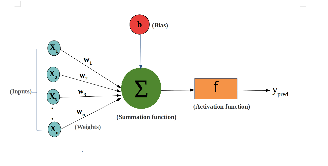 PyTorch 神经网络基础