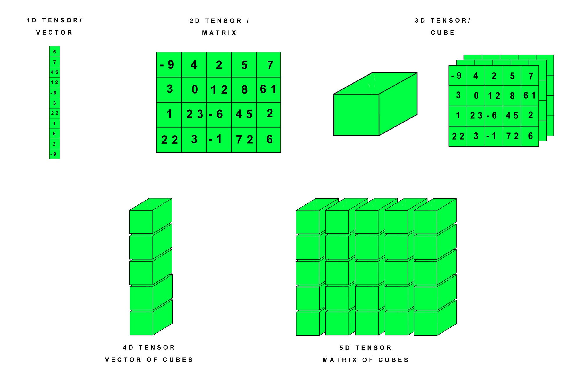 PyTorch 张量（Tensor）